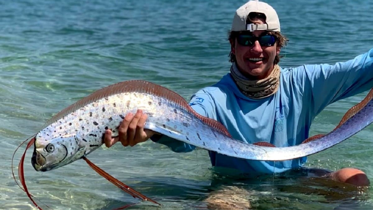 Oarfish